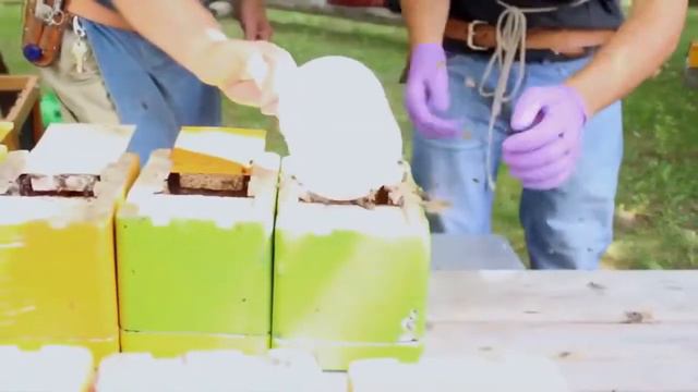 Мининуклеус в магазине для пчеловодов в Саратове на Кутякова 101 смотреть онлайн