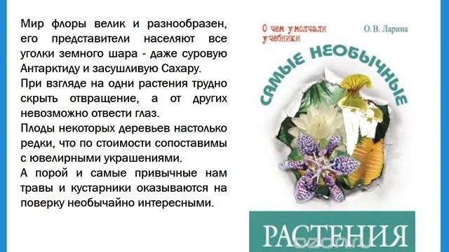 Быть может, вся природа – мозаика цветов (обзор литературы) смотреть онлайн