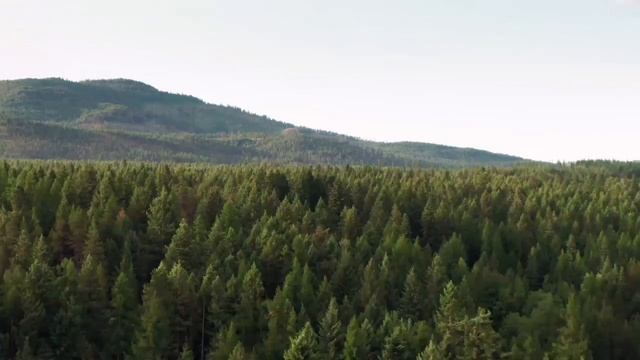 Хорошая музыка для Йоги и Медитации ? смотреть онлайн