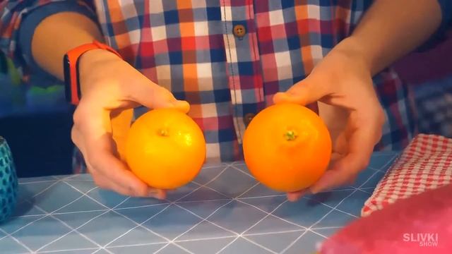 LA SALCHICHA DE LA TIENDA BAJO EL MICROSCOPIO смотреть онлайн