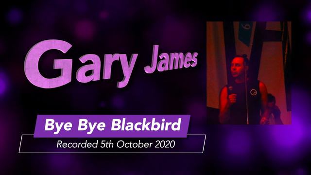 Bye Bye Blackbird - Vocals by Gary James смотреть онлайн