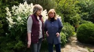 Время в саду  Ландшафтные хитрости