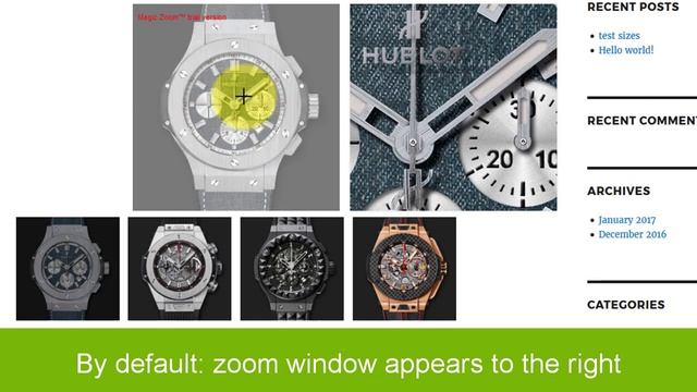 Magic Zoom – the elegant WordPress image zoom (tutorial) смотреть онлайн