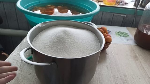 Лето в самом разгаре // Набрали абрикосов // Свекла выросла // Будни в станице смотреть онлайн