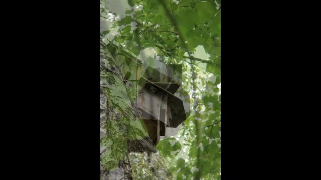 Монтаж ip камеры в домике для птиц смотреть онлайн