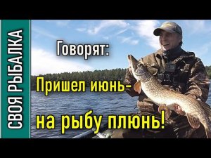 Ловля крупного судака и щуки на джиг летом. Волга, Белый Городок.
