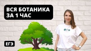 Вся Ботаника за 1 час | ЕГЭ Биология