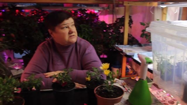 Так и живем... Осторожно! Много полезной информации! смотреть онлайн