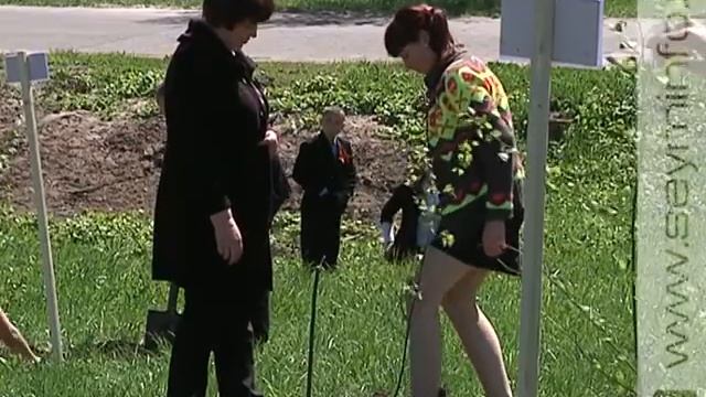 Воспитанники курского интерната посадили березы смотреть онлайн