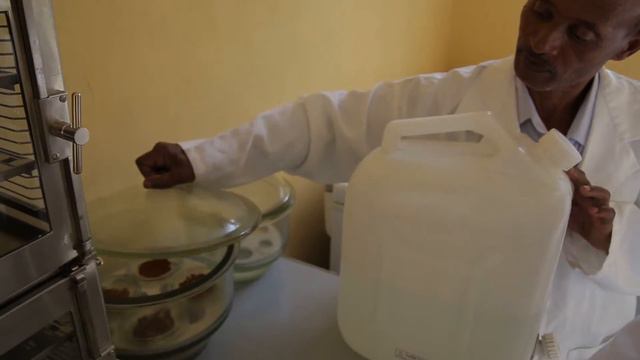 Using Race Analysis to Track the Evolution of Wheat Rust Diseases in Ethiopia смотреть онлайн