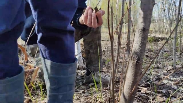 СМОРЧКИ - РЕСТОРАННЫЙ ДЕЛИКАТЕС! 7 МАЯ 2022 В МОСКОВСКОЙ ОБЛААСТИ!