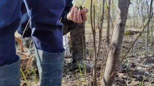 СМОРЧКИ - РЕСТОРАННЫЙ ДЕЛИКАТЕС! 7 МАЯ 2022 В МОСКОВСКОЙ ОБЛААСТИ!