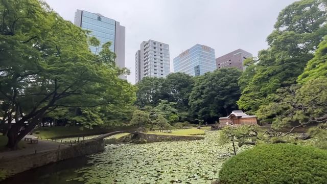 老後の過ごし方☕️ смотреть онлайн
