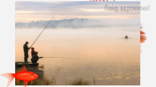 Рыба не будет клевать если на воде лежит это!! Причины по которым рыба не клюёт! смотреть онлайн