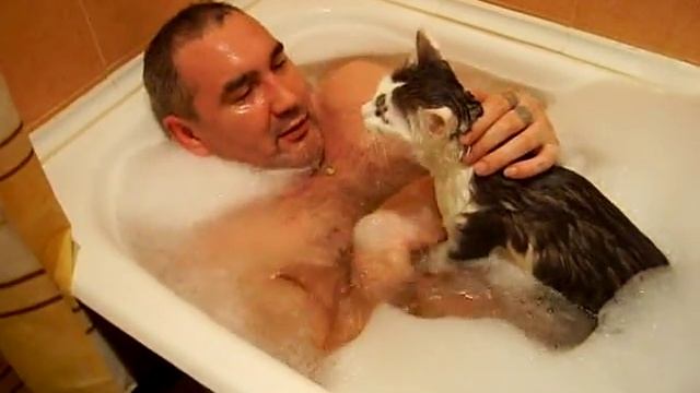 Как правильно помыть кота) cat wash https://alfa.me/3xyHEA смотреть онлайн