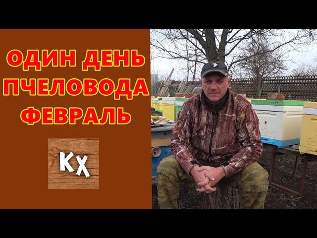 ОДИН ДЕНЬ ПЧЕЛОВОДА ФЕВРАЛЬ смотреть онлайн