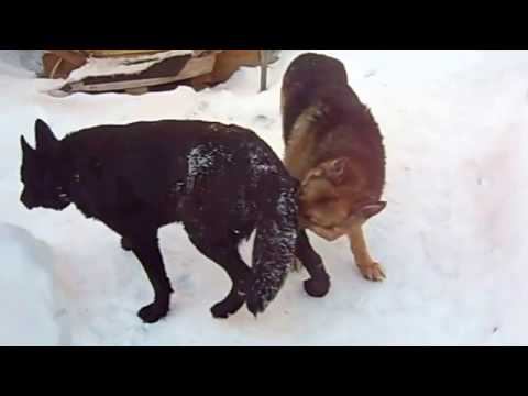 Первое свидание. Марго и Грей смотреть онлайн