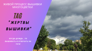 ТЕГ «Жертвы вышивки».  Живой процесс #вышивки #многоцветки