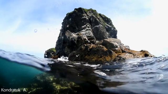 Дыхание Японского моря. смотреть онлайн