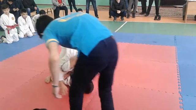 Джиу-джитсу