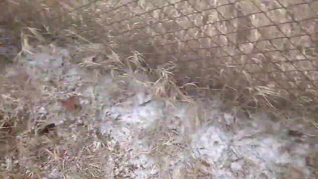 Съездили на дачу. Дачный участок зимой. смотреть онлайн