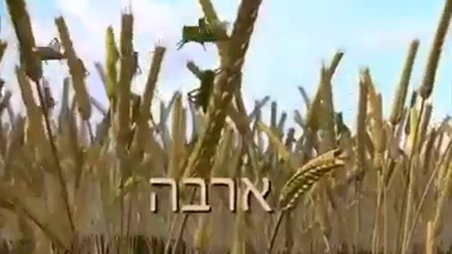 ХАГ ПЕСАХ САМЭАХ! смотреть онлайн