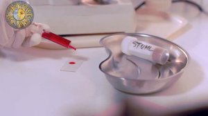 К чему снится кровь | Кровь на теле, на лице, своя или чужая - Сонник