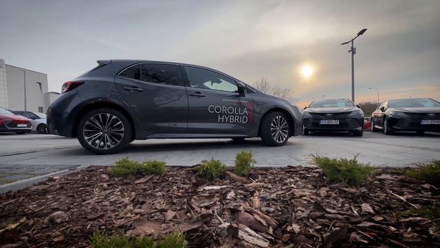 TOYOTA COROLLA | DOSTĘPNA W SALONIE TOYOTA POZNAŃ CENTRUM. смотреть онлайн