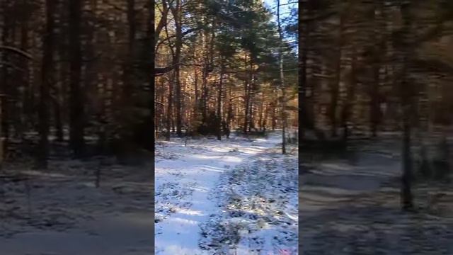 "Хуторянка" поет группа "Балалайка-62" смотреть онлайн