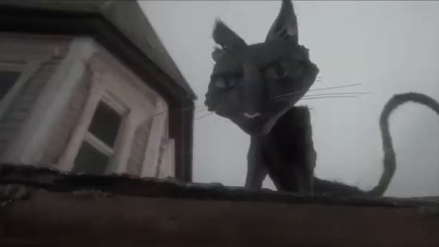 𝓔𝔁𝓹𝓵𝓸𝓻𝓪𝓽𝓲𝓸𝓷- 𝓒𝓸𝓻𝓪𝓵𝓲𝓷𝓮 𝔂 𝓵𝓪 𝓹𝓾𝓮𝓻𝓽𝓪 𝓼𝓮𝓬𝓻𝓮𝓽𝓪 смотреть онлайн