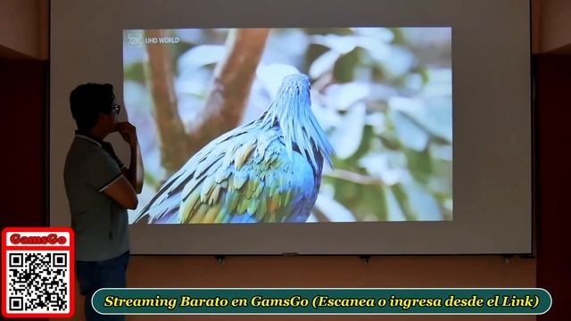 Con este PROYECTOR CAIWEI A10Q, Por fin puedo ver de día! ? смотреть онлайн