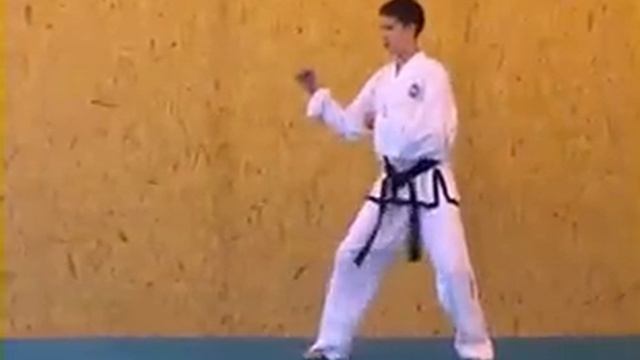 ITF Taekwon-Do Patterns (13 of 14) Po-Eun смотреть онлайн