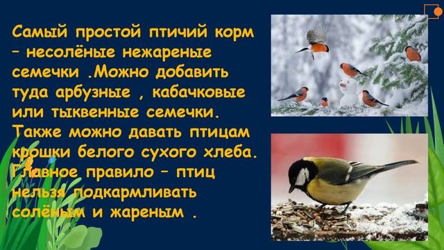 Как помочь птицам перезимовать. Окружающий нас мир 1 класс смотреть онлайн