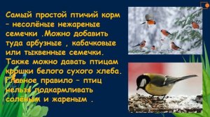 Как помочь птицам перезимовать.  Окружающий нас мир 1 класс