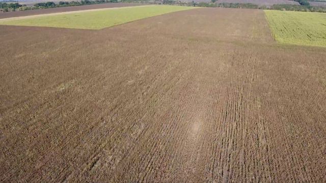 ООО"АФ Наири" Подсолнух поле №29 смотреть онлайн