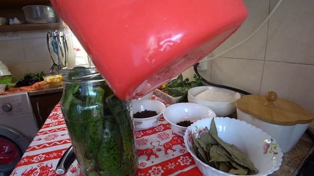 Огурцы на Зиму по двум рецептам/Огурцы с РЯБИНОЙ/Огурцы с ГОРЧИЦЕЙ/Один рецепт проверим с интернета смотреть онлайн