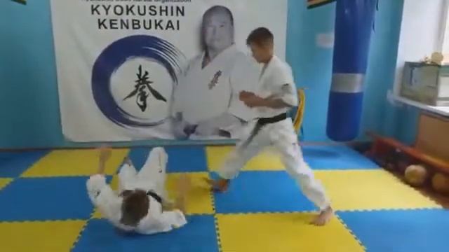 Киокушин. №29 Комбинация (кумитэ) смотреть онлайн