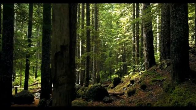 ГЛАВНЫЙ СЕКРЕТ УСПЕХА - Сильнейшая мотивация к Действию | МОТИВАЦИЯ 2022 смотреть онлайн