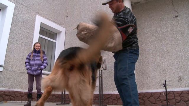 Гектор. Охрана дома