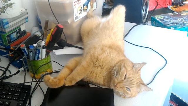 Где д не лежать, лишь бы спать