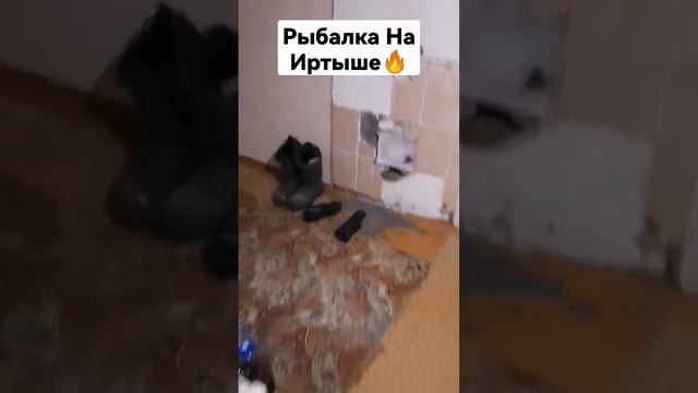 Вагайский Плёс. Рыбалка на Иртыше?. #рыбалка #иртыш #домиквдеревне