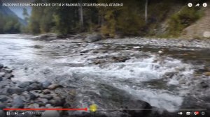 Абвгат - через космический мусор опять к отшельнице. Метавселенная уток и ручные медведи.