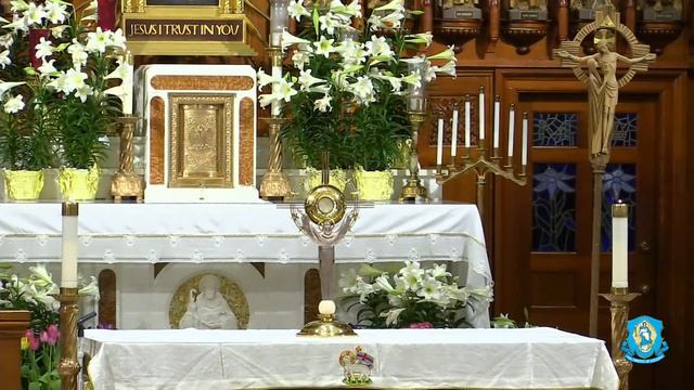 Wed, Apr 7 - Solemn Novena of the Divine Mercy Chaplet смотреть онлайн