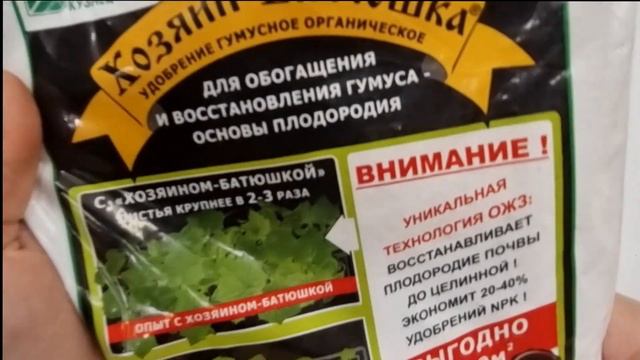 Пикировка земляники смотреть онлайн