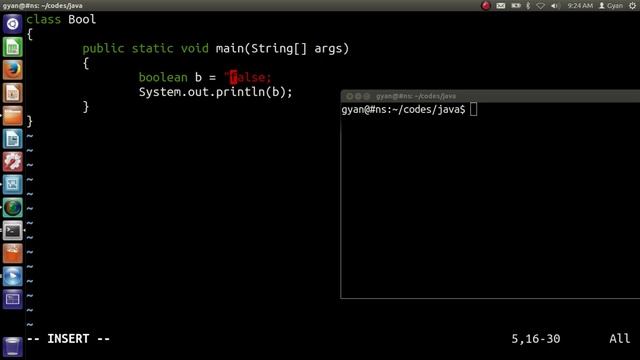 boolean Data Type in Java | boolean Literals (Constants) in Java смотреть онлайн