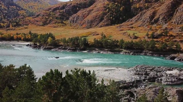 Герман и Настя || Свадьба на Алтае смотреть онлайн