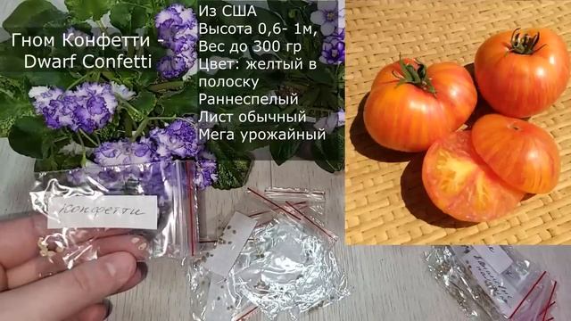 Томаты ГНОМЫ трудяги для ленивых мировой селекции на 2023 год, не только урожайные, очень вкусные смотреть онлайн