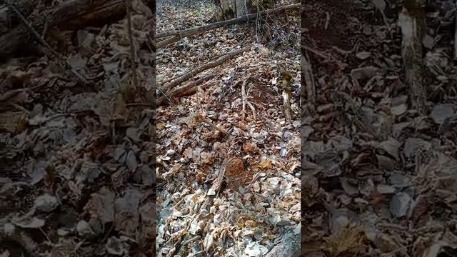 водопад ильинский смотреть онлайн