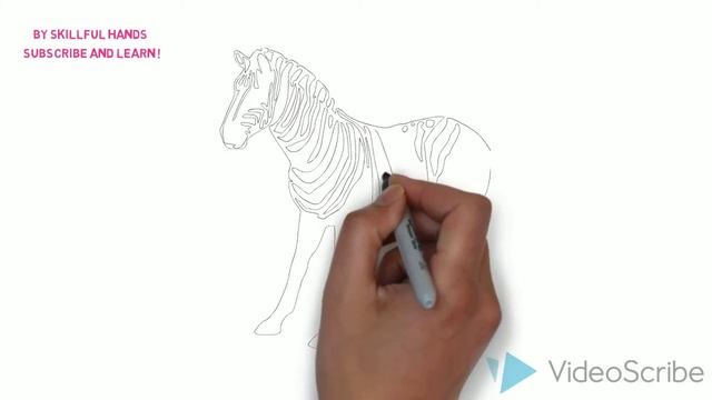 Speed drawing: Zebra / Быстрое рисование. Зебра смотреть онлайн
