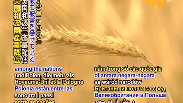 SAVE OUR PLANET - Grain price shoots up as drought hits Europe смотреть онлайн